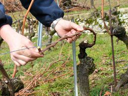 picture of Neyroud Martial