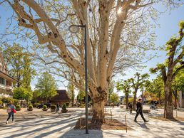 picture of Notariat Jaccottet Kaiser AG