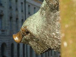 Bild zu Commune de Porrentruy