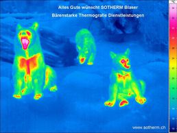 immagine di Sotherm Blaser Thermografie