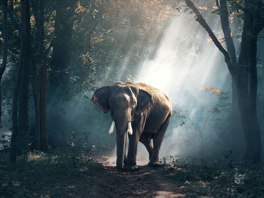 picture of Hadorn Daniela