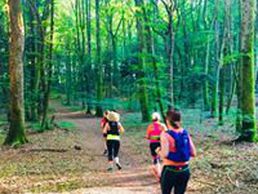 picture of Fit For Life Coaching