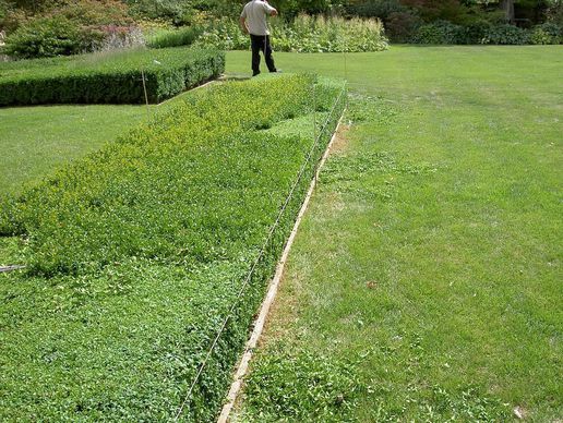 picture of AB JARDIN SARL