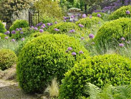 picture of AB JARDIN SARL