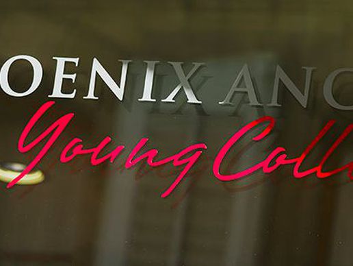 picture of Phoenix Ancient Art Young Collectors