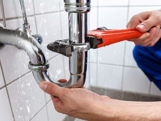 Bild zu Nyon Sanitaire