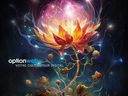 immagine di Option Web: Agence web & digitale Suisse