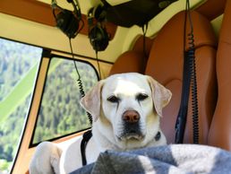 Bild zu Air-Evolution Ltd.