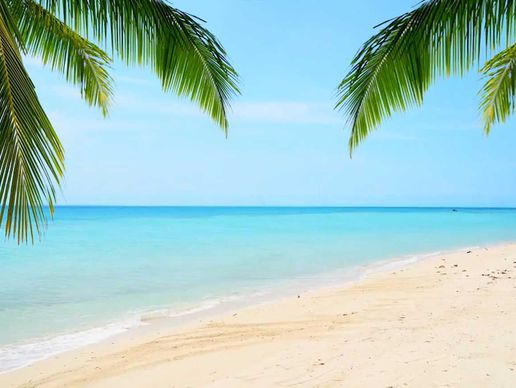 picture of Tantra Schaffhausen