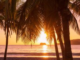 picture of Tantra Schaffhausen