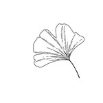 Bild zu Art de Fleurs