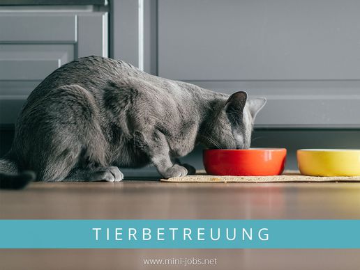 picture of Mini Jobs Biel