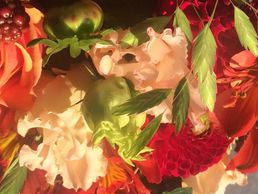 immagine di Casa Flora AG