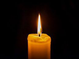 immagine di Voyance discount Amoroso Stella