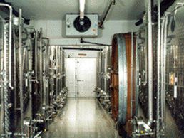 immagine di Domaine des Ruyeres - La Botte Dorée