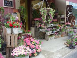 picture of Frauchiger Anne