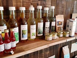 picture of Alterrapy Sarl