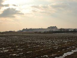 Bild zu Domaine de la Tour