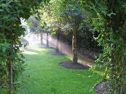 picture of Aqua-Z SA