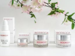 immagine di Kosmetik Passeraub