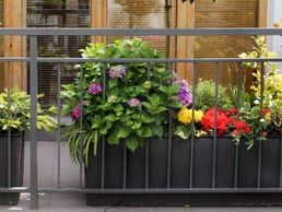 immagine di Multi Entretien Service SA