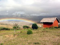 Bild zu Madagaskarhaus: Infos, Flüge und Reisen in Madagaskar