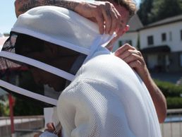 picture of Wespennest Entfernen Kanton Zürich