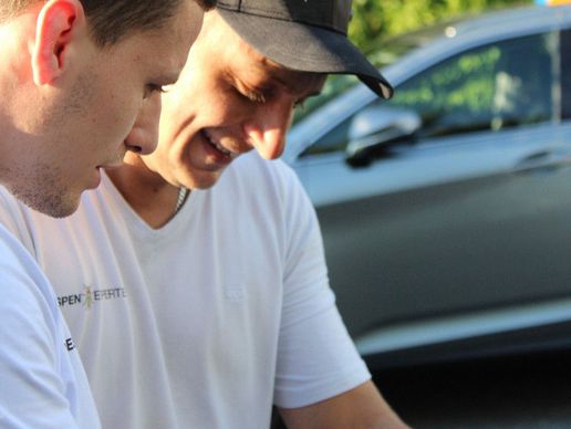 picture of Wespennest Entfernen Kanton Zürich