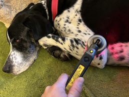 picture of La Forme à 4 Pattes