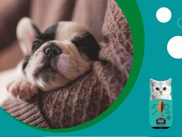 picture of MyStetho Veterinary