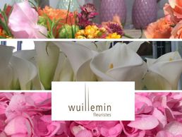 picture of Wuillemin Fleuristes SA