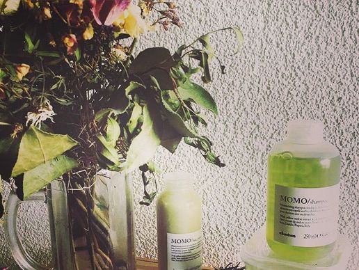 immagine di Le Salon Lea Labidi