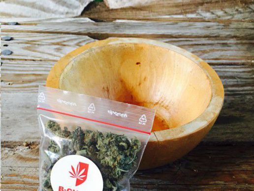 picture of Nostras SA