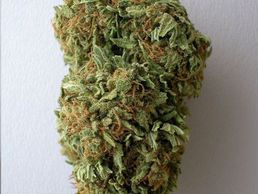 picture of Nostras SA