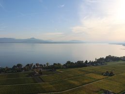 picture of BALLONS du LEMAN Sàrl