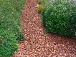 image de Batiflor SA