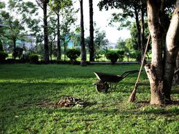 picture of Vigi-Alpes Service