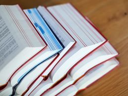 immagine di Etude principale Sion