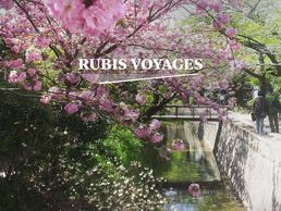 picture of Rubis Voyages Sàrl