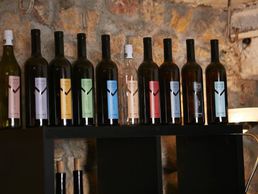 immagine di Cave Guillod