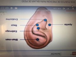 immagine di Cabinet Energie Vitale