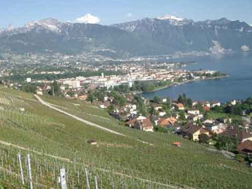 immagine di Ducret Olivier