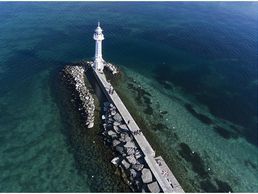 immagine di Guillemin Marc