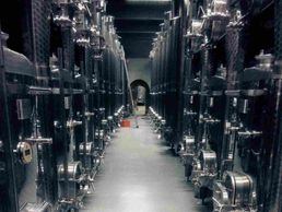 immagine di Arc en Vins SA