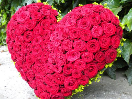 picture of von Arx Blumen & Garten