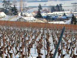 image de Mairie de Bernex