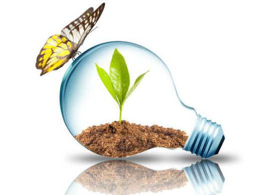 image de GESTICAL SA