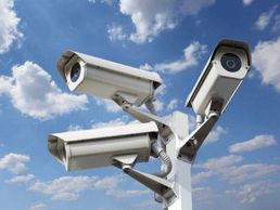 picture of Domelec Nuno Ferreira