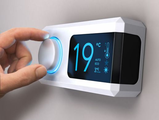 picture of Domelec Nuno Ferreira