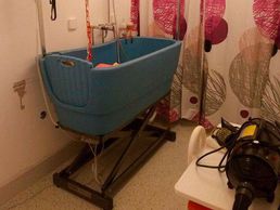 picture of Toilettage Jennifer. B